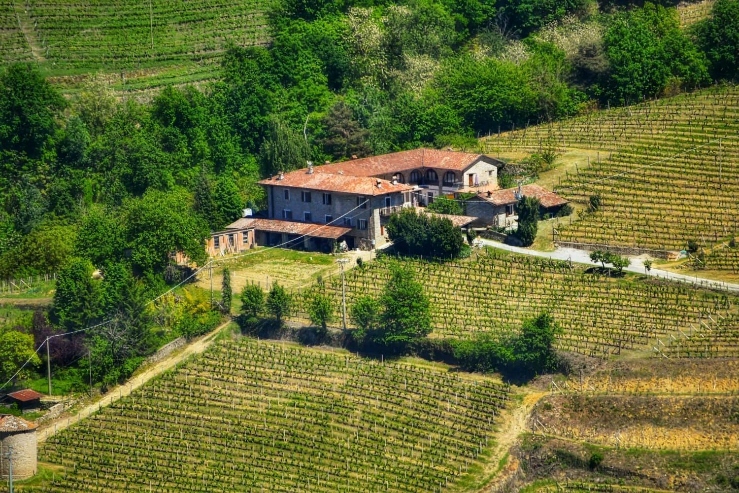 Agriturismo Tenuta San Giuseppe Cossano Belbo Luaran gambar