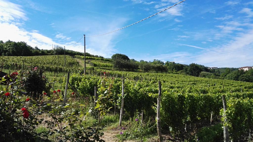 Agriturismo Tenuta San Giuseppe Cossano Belbo Luaran gambar